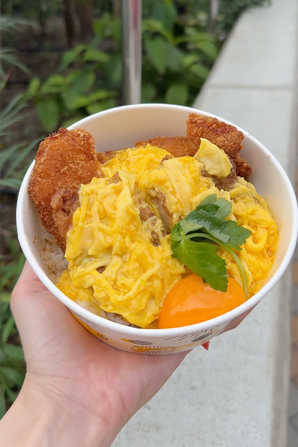 勝利を呼び寄せる！？ロースとチキンのWカツ丼